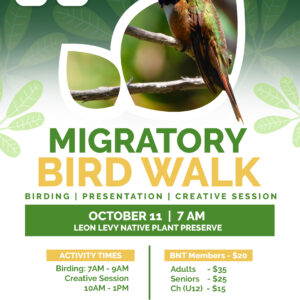 Migratory Bird Walk