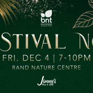 Festival Noël 2026